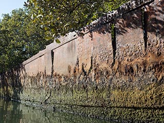 wreck of SS Ayrfield, Homebush Bay, Sydney, Australia