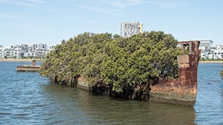 wreck of SS Ayrfield, Homebush Bay, Sydney, Australia