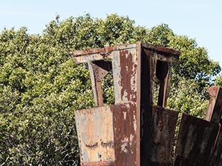 wreck of SS Ayrfield, Homebush Bay, Sydney, Australia