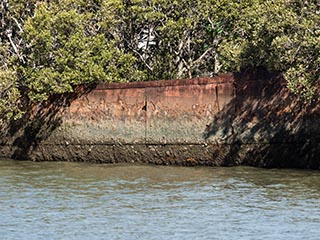 wreck of SS Ayrfield, Homebush Bay, Sydney, Australia