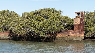 wreck of SS Ayrfield, Homebush Bay, Sydney, Australia