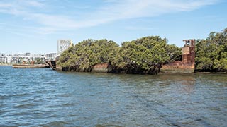 wreck of SS Ayrfield, Homebush Bay, Sydney, Australia