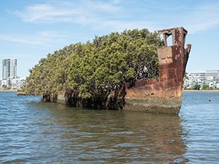 wreck of SS Ayrfield, Homebush Bay, Sydney, Australia