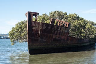 wreck of SS Ayrfield, Homebush Bay, Sydney, Australia