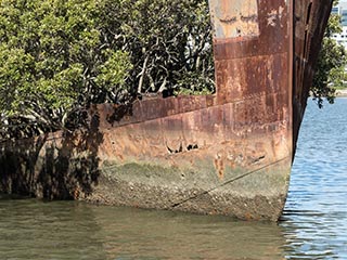 wreck of SS Ayrfield, Homebush Bay, Sydney, Australia