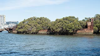 wreck of SS Ayrfield, Homebush Bay, Sydney, Australia