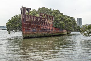 wreck of SS Ayrfield, Homebush Bay, Sydney, Australia