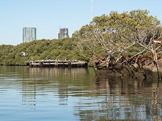 bow of SS Heroic with buildings in distance