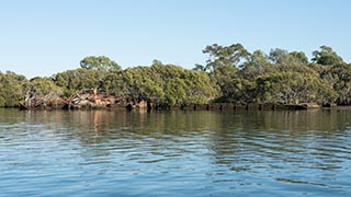 wreck of SS Heroic