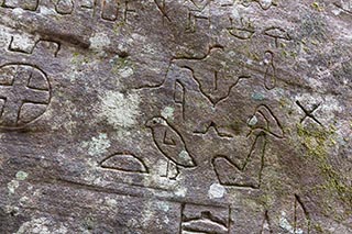 Kariong Hieroglyphs