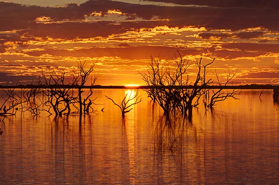 Bleak Scenes Australia