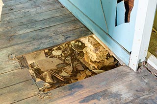 Hole in floor of abandoned house