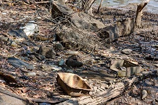 Garbage on the shore of Mullet Creek near Wondabyne, Australia