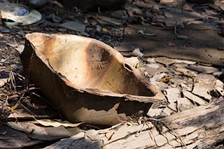 Old basin on the shore of Mullet Creek near Wondabyne, Australia