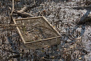 Old cage on the shore of Mullet Creek near Wondabyne, Australia