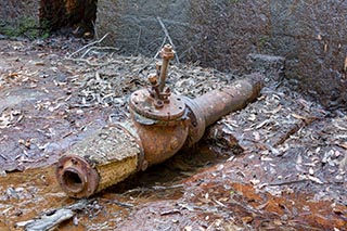 Disused Railway Dam, Brisbane Water National Park, Australia