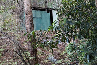 Old corrugated iron shed in the bush near Wondabyne, Australia