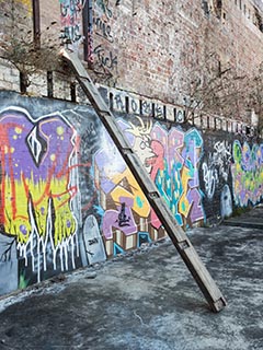 Abandoned Tooth & Co Maltings, Mittagong