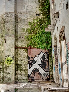 Abandoned Tooth & Co Maltings, Mittagong