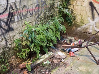 Abandoned Tooth & Co Maltings, Mittagong