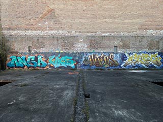 Abandoned Tooth & Co Maltings, Mittagong