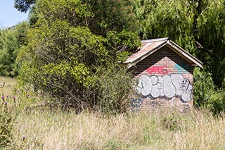 Abandoned Tooth & Co Maltings, Mittagong