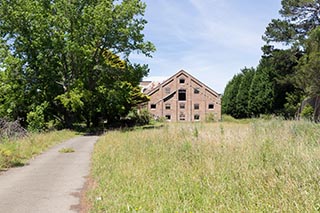 Abandoned Tooth & Co Maltings, Mittagong