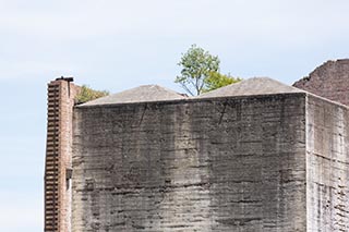 Abandoned Tooth & Co Maltings, Mittagong