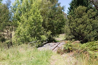 Abandoned Tooth & Co Maltings, Mittagong