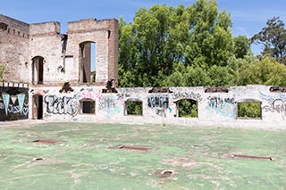 Abandoned Tooth & Co Maltings, Mittagong