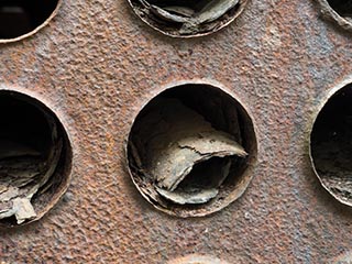 Fire tubes of abandoned boiler