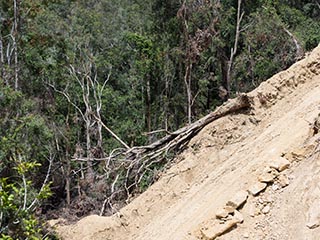 Wondabyne Quarry