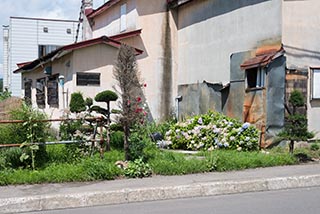 Abandoned Love Hotel