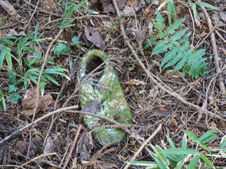 Mossy sneaker outside Car Hotel Mangetsu