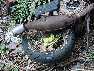 Abandoned motor scooter