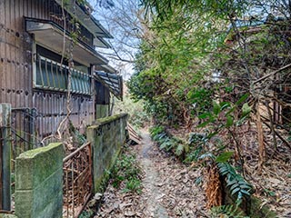 Laneway in abandoned neighbourhood