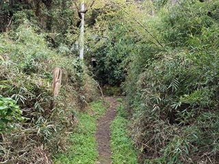 Laneway in abandoned neighbourhood