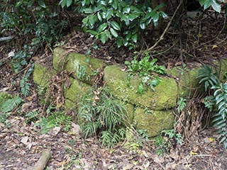 Mossy wall