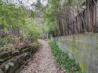 Laneway in abandoned neighbourhood