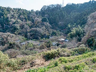 Abandoned houses, Kanagawa Prefecture, Japan