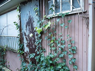 Abandoned house, Kanagawa Prefecture, Japan