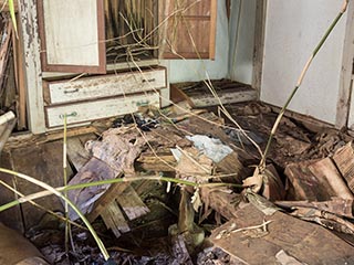 Collapsing house, Kanagawa Prefecture, Japan