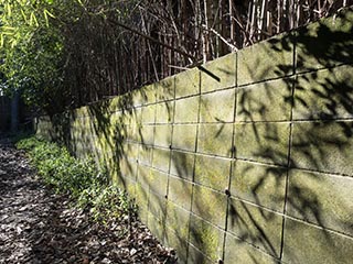 Laneway in abandoned neighbourhood