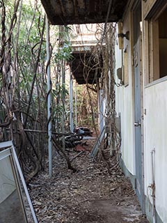 Abandoned apartment building, Kanagawa Prefecture, Japan