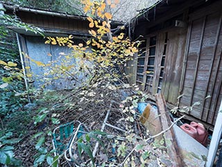 Abandoned house, Kanagawa Prefecture, Japan