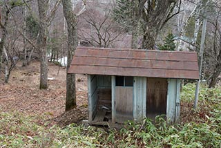 Abandoned Shed