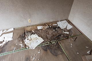 Abandoned Japanese Restaurant Interior