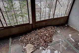 Abandoned Japanese Restaurant Interior