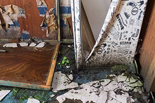 Decaying Upstairs Rooms in Abandoned Hokkaido Farmhouse