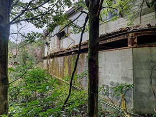 Rear wall of Hotel Bluebird